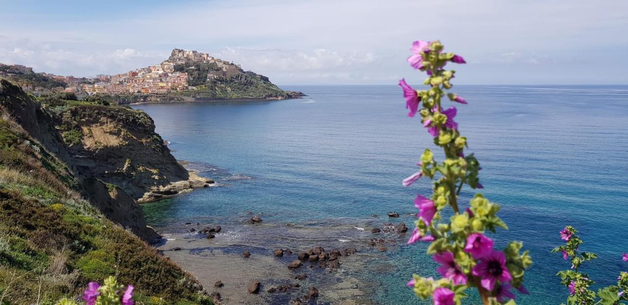 “Cielo E Mare”, Casetta Nel Cuore Del Borgo Antico / “Sky & Sea”, Charming In The Heart Of Old Village Castelsardo Exteriör bild