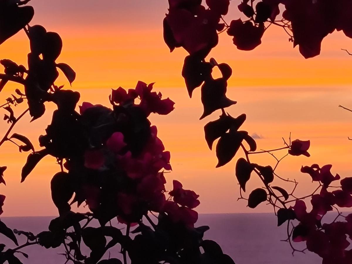 “Cielo E Mare”, Casetta Nel Cuore Del Borgo Antico / “Sky & Sea”, Charming In The Heart Of Old Village Castelsardo Exteriör bild