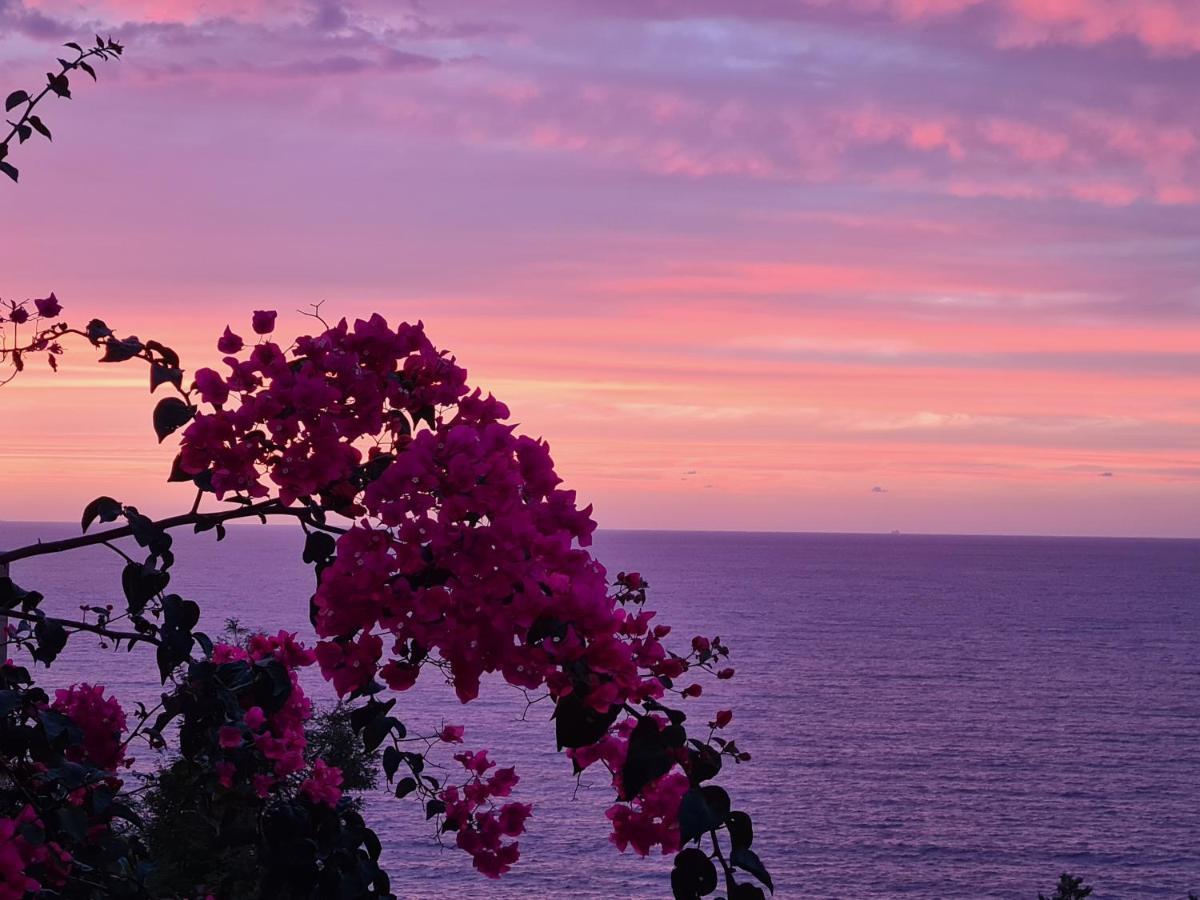 “Cielo E Mare”, Casetta Nel Cuore Del Borgo Antico / “Sky & Sea”, Charming In The Heart Of Old Village Castelsardo Exteriör bild